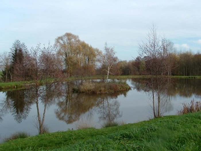 140405 etang des aulnes